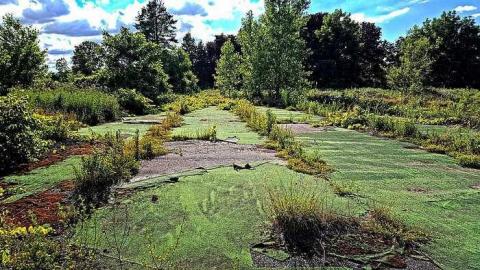 Water Park - Wet-And-Wild-Waterpark48.jpg