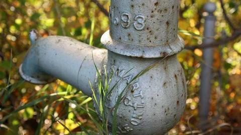 October 2016 - Coyne-Cemetery12.jpg