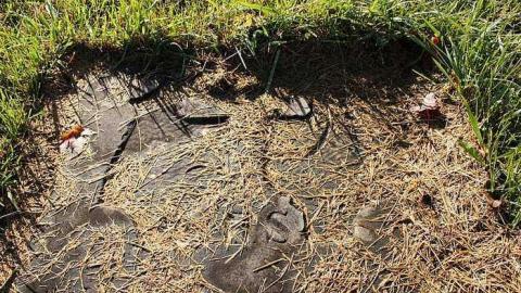 October 2016 - Coyne-Cemetery5.jpg