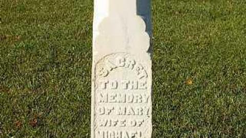 October 2016 - Coyne-Cemetery15.jpg