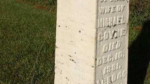 October 2016 - Coyne-Cemetery6.jpg