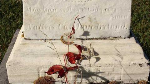 October 2016 - Coyne-Cemetery8.jpg