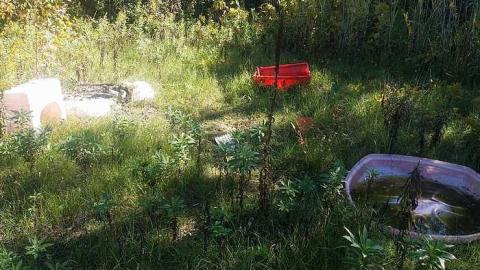 welcome inn - v-20161007_110930.jpg