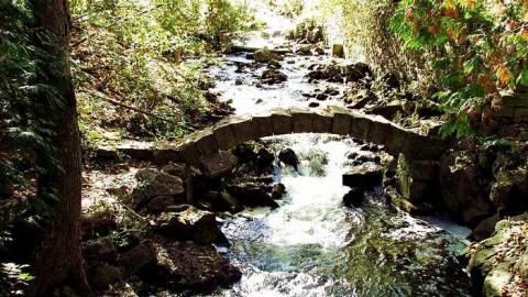 Photo from October, 2016