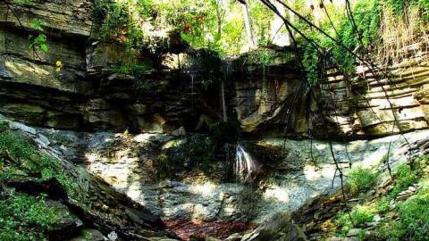 October, 2016 - Webwood-Falls38.jpg