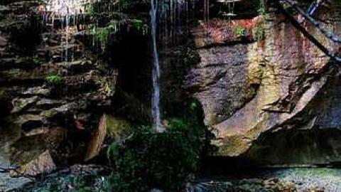 October, 2016 - Webwood-Falls39.jpg