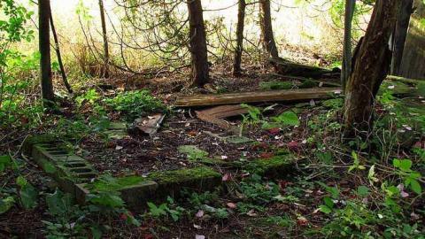 October, 2016 - Webwood-Falls40.jpg