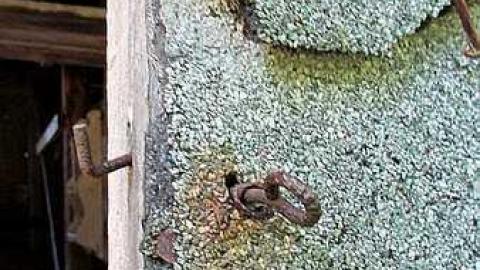 October, 2016 - Webwood-Falls16.jpg