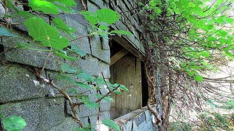 Photo from October, 2016