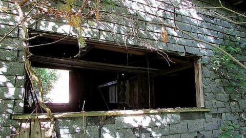 October, 2016 - Webwood-Falls19.jpg