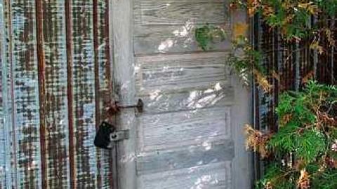 October, 2016 - Webwood-Falls20.jpg