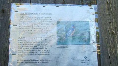 Photo from October, 2016