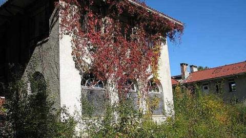 Spanish Cranberry - 3.jpg