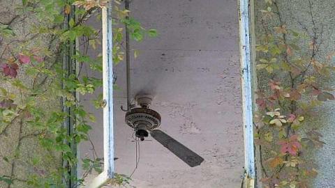 Spanish Cranberry - 9.jpg