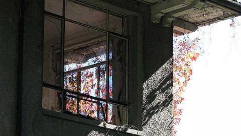 Spanish Cranberry - 10.jpg