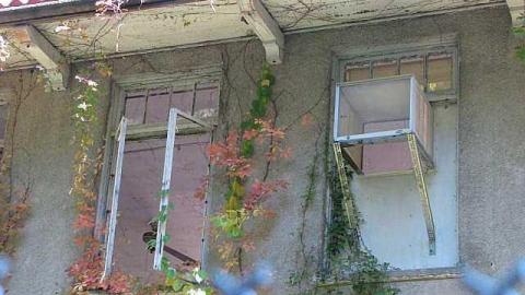 Spanish Cranberry - 11.jpg