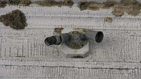 Spanish Cranberry - 14.jpg