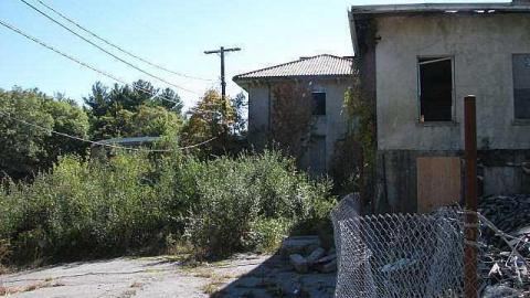 Photo from Spanish Cranberry