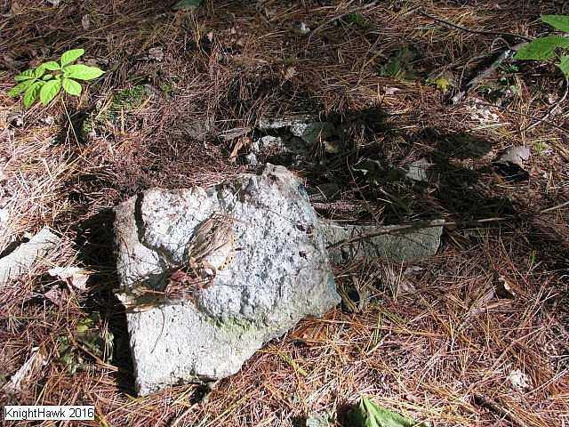 Cranberry Hospital photo 3