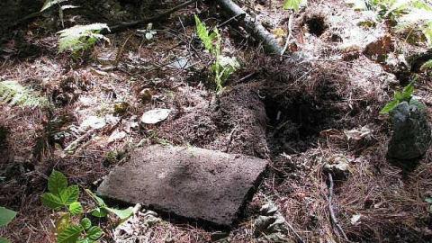 Photo from Spanish Cranberry