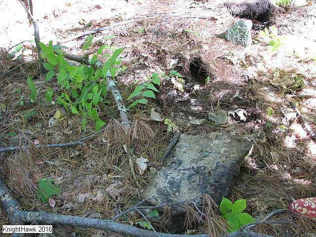 Cranberry Hospital photo 5