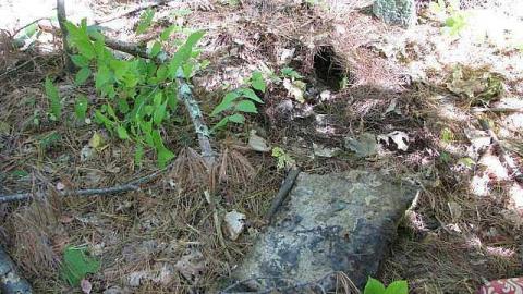 Spanish Cranberry - 29.jpg