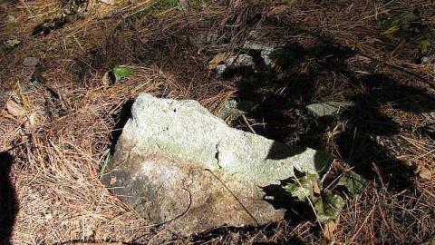 Spanish Cranberry - 30.jpg