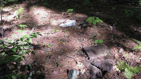 Photo from Spanish Cranberry