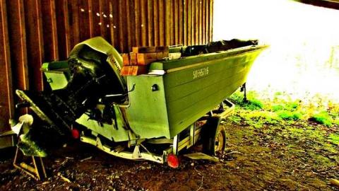 Into the woods - Left-in-the-Woods2.jpg