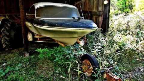 Left in the Woods photo 2