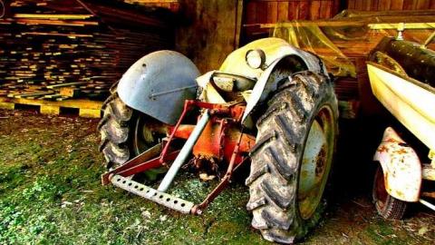 Left in the Woods - Strong, Ontario