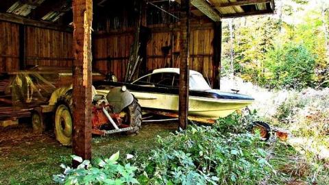 Left in the Woods photo 4