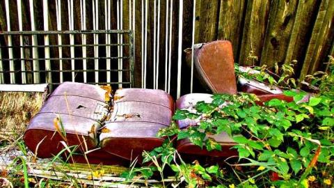 Into the woods - Left-in-the-Woods4.jpg