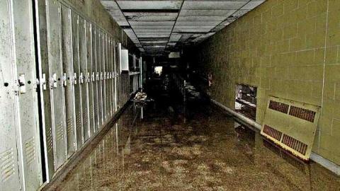 Fall, 2016 - IMG_4744.jpg