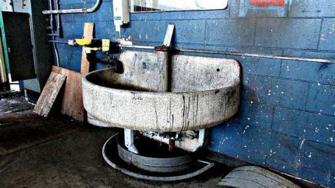 Fall, 2016 - IMG_4765.jpg