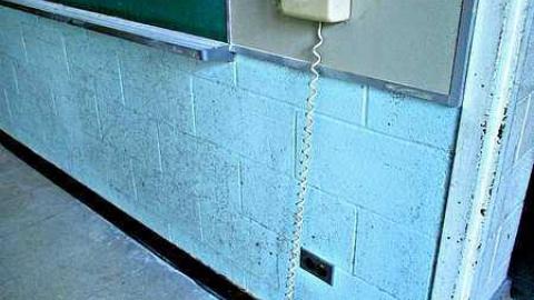 Fall, 2016 - IMG_4814.jpg