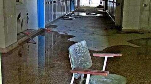 Fall, 2016 - IMG_4826.jpg