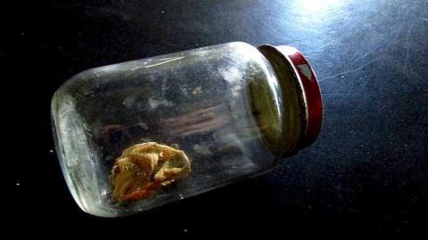 Fall, 2016 - IMG_4833.jpg