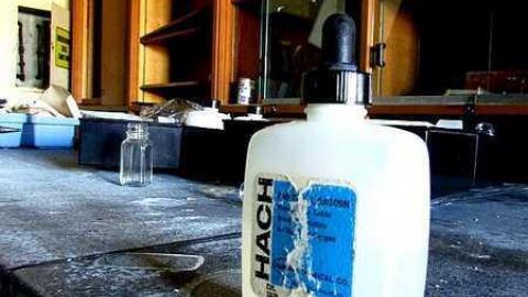 Fall, 2016 - IMG_4850.jpg