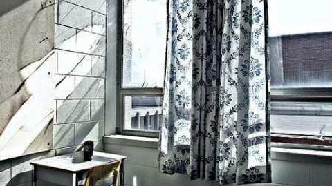 Fall, 2016 - IMG_4870.jpg