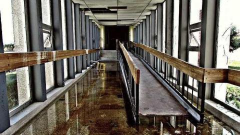 Fall, 2016 - IMG_4881.jpg