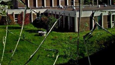 Fall, 2016 - IMG_4882.jpg