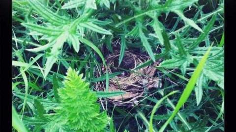 Old House - house8.jpg