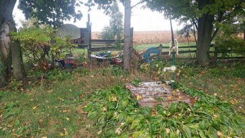 First look - 20161016_121534.jpg