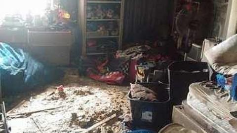 Abrupt Awakening photo 2