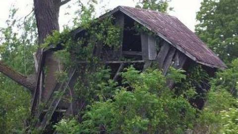 Old House - house14.jpg