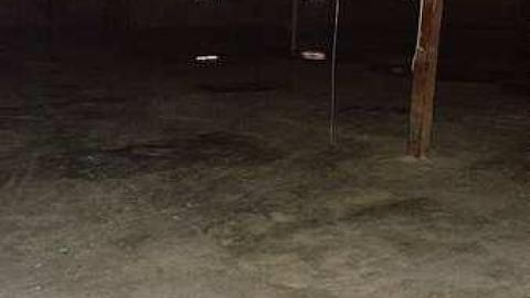 Gemini No More - 20161016_133422.jpg