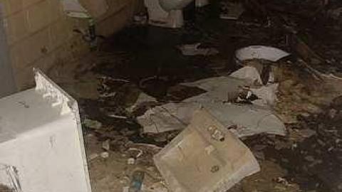 Gemini No More - 20161016_133418.jpg