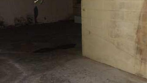 Gemini Store Fixtures photo 2