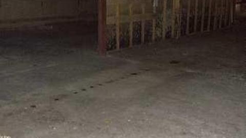 Gemini No More - 20161016_133117.jpg